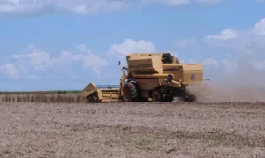 Leia mais sobre o artigo Agronegócio comemora aprovação de lei para safristas