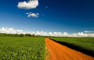 Leia mais sobre o artigo Agronegócio brasileiro atinge recorde de 28,4 milhões de trabalhadores