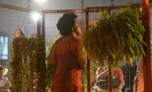 Leia mais sobre o artigo Festival de formação e fortalecimento do teatro negro abre inscrições em Rondonópolis