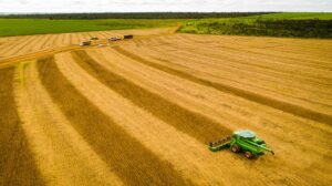 Leia mais sobre o artigo Mato Grosso consolida safra de soja 25/26 recorde e mantém liderança nacional