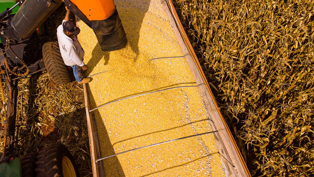 No momento, você está visualizando Mato Grosso lidera produção agropecuária do país com projeção de R$ 206 bilhões em 2026