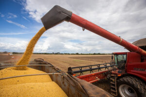 Leia mais sobre o artigo PIB da agropecuária cresce 2% no trimestre e corresponde a 7% do PIB