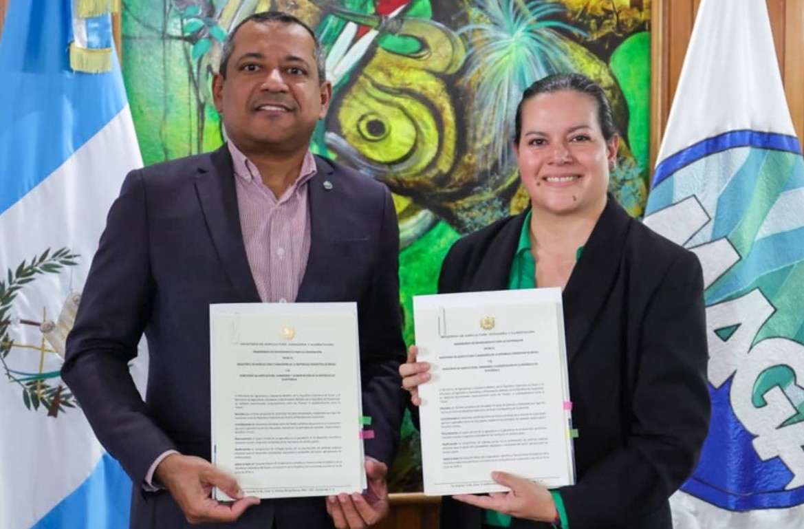 No momento, você está visualizando Brasil e Guatemala fortalecem parceria agropecuária ao celebrarem 50 anos de cooperação