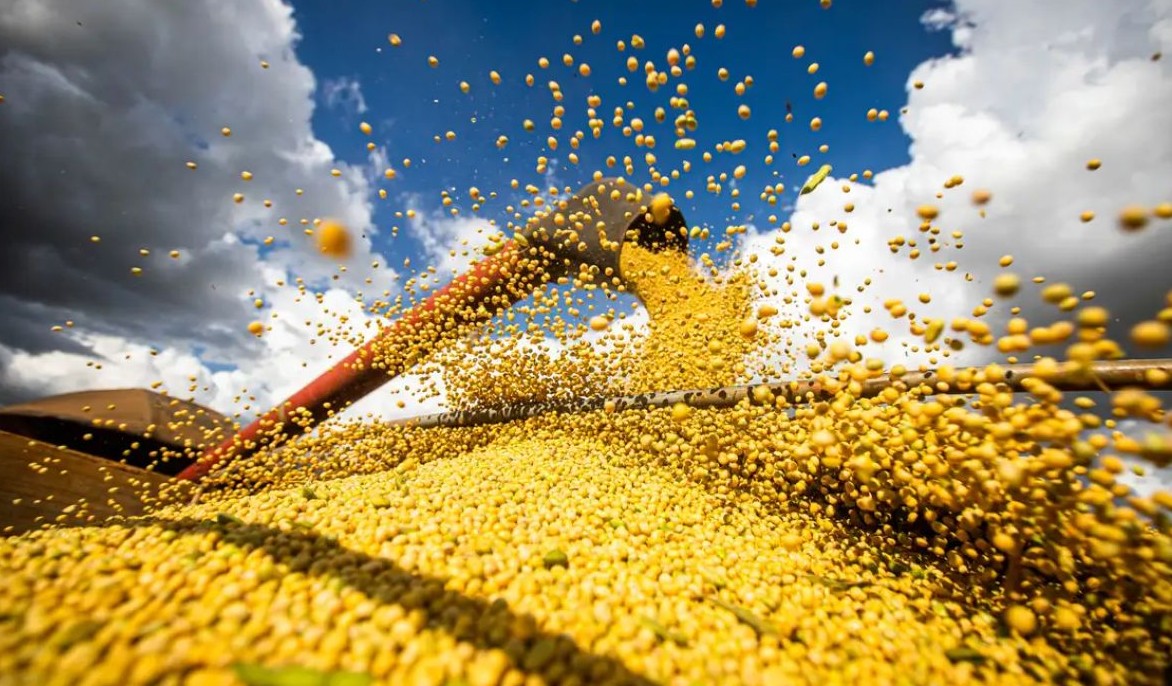 No momento, você está visualizando CONAB: Produção de grãos pode chegar a 358,6 milhões de toneladas