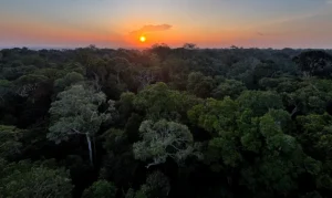 Leia mais sobre o artigo Programa celebra o Dia Mundial do Meio Ambiente