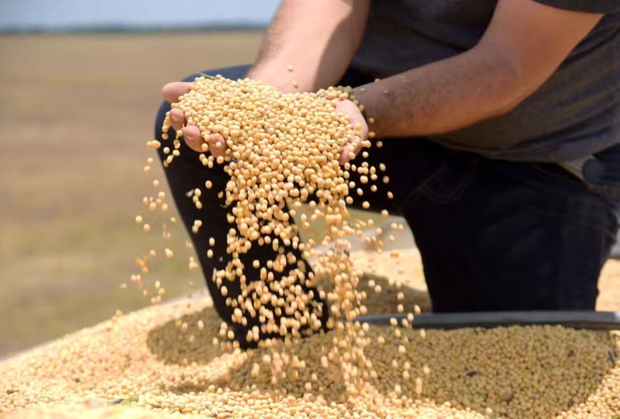 No momento, você está visualizando Tarifaço deve atingir 36,5% das exportações do agro para os EUA, diz CNA