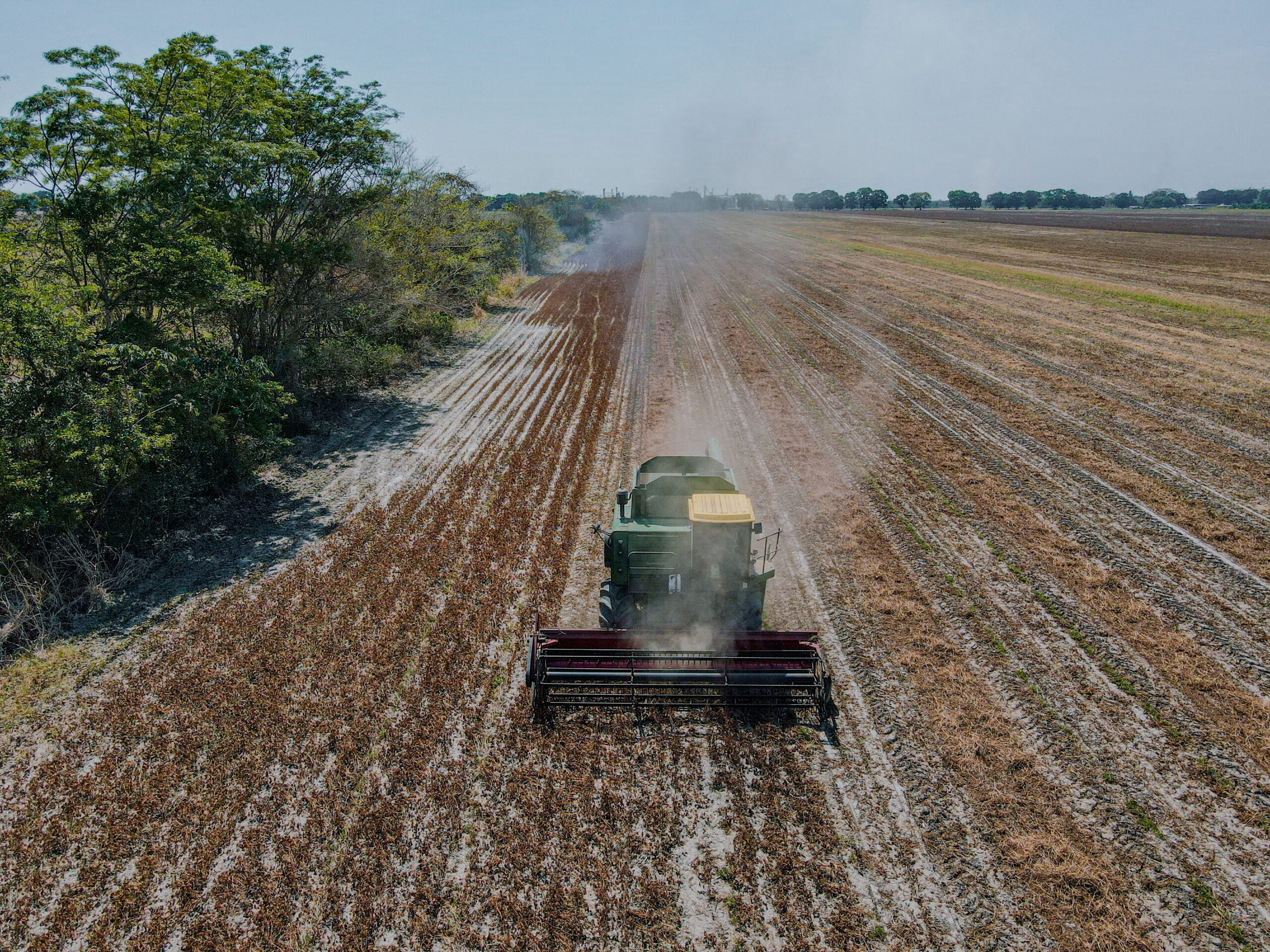 No momento, você está visualizando Como o agro pode crescer em cenário de juros altos e volatilidade
