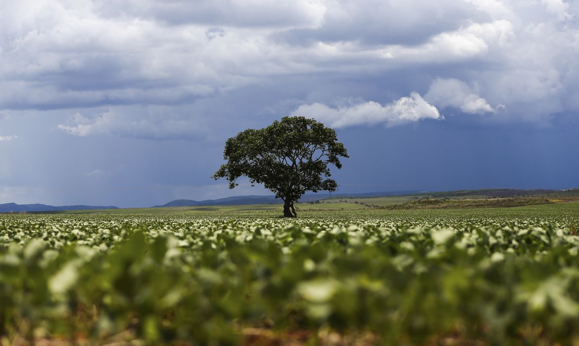 No momento, você está visualizando Crédito rural financiou R$ 92,4 bi em áreas com alertas ambientais