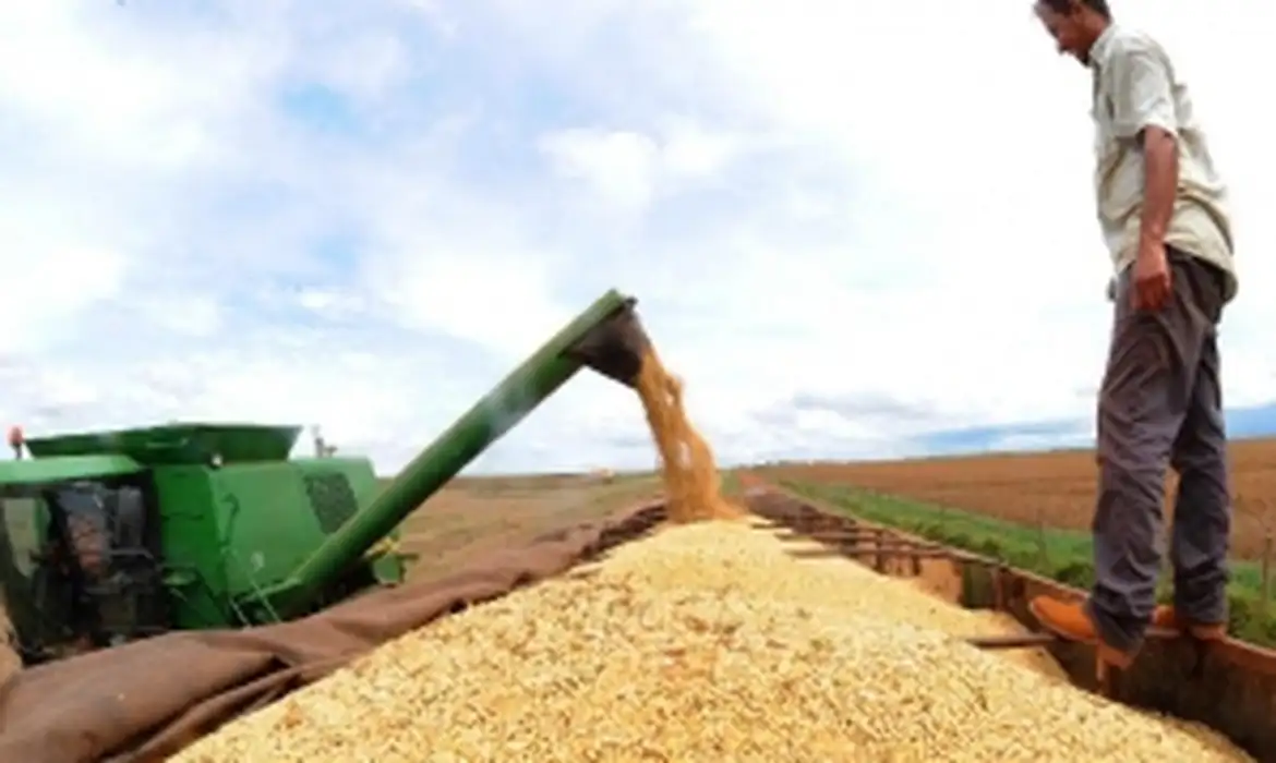 No momento, você está visualizando Demanda pela soja brasileira sustenta preços no mercado interno, aponta Cepea