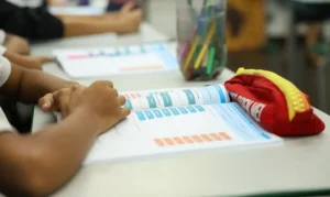 Leia mais sobre o artigo Educação política passa a integrar currículo escolar brasileiro
