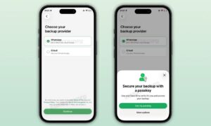 Leia mais sobre o artigo WhatsApp prepara nuvem própria para guardar backup de conversas