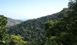 Leia mais sobre o artigo Plano mobiliza R$ 500 bi para financiamento sustentável no Brasil