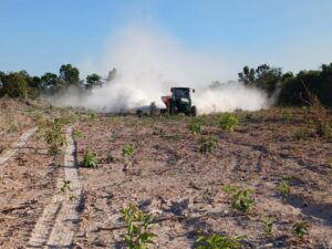 Leia mais sobre o artigo Sorriso começa a receber mais de 1,2 mil toneladas de calcário destinadas à agricultura familiar