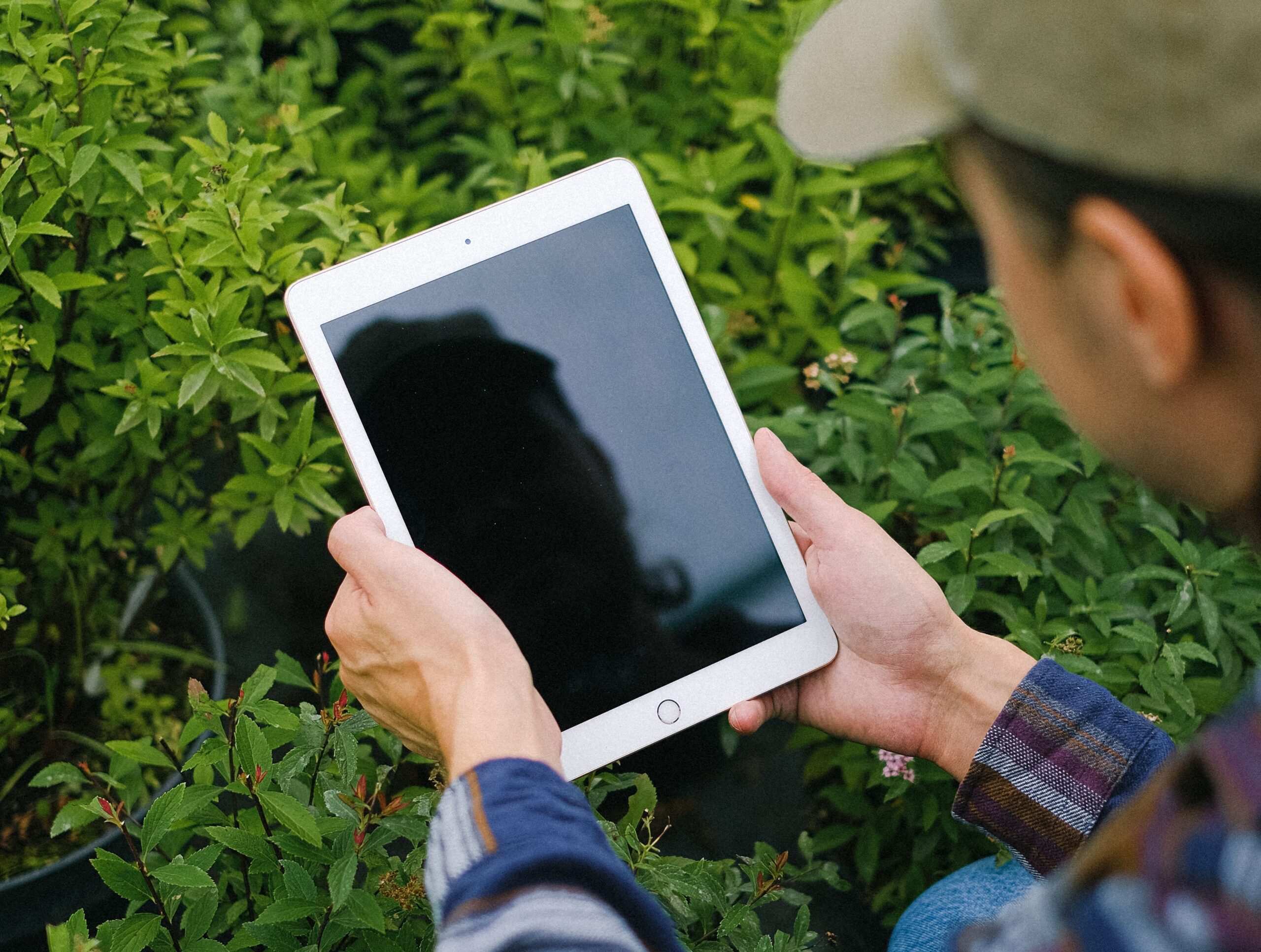 No momento, você está visualizando Tecnologia leva inteligência artificial à pós-colheita e amplia eficiência no agro