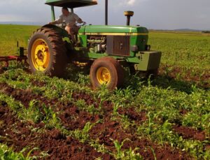 Leia mais sobre o artigo Abramilho celebra expansão da produção do sorgo no Brasil