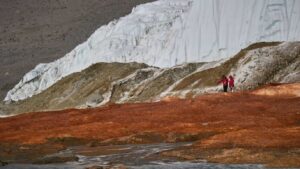 Leia mais sobre o artigo Por que as Cataratas de Sangue deixaram o gelo da Antártica vermelho?