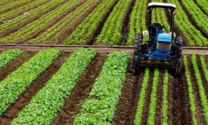 Leia mais sobre o artigo Suno Fazendas capta R$ 51,8 milhões para aquisição de propriedades em MT