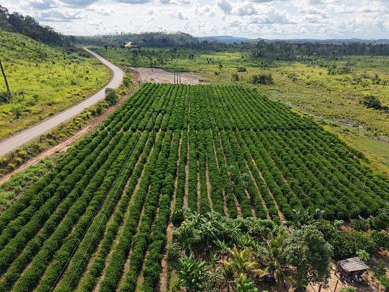 No momento, você está visualizando Famato defende criação de “Secretaria do Agro” no próximo Governo
