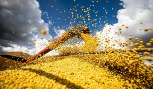Leia mais sobre o artigo Produção agrícola brasileira superou R$ 927 bilhões em 2025
