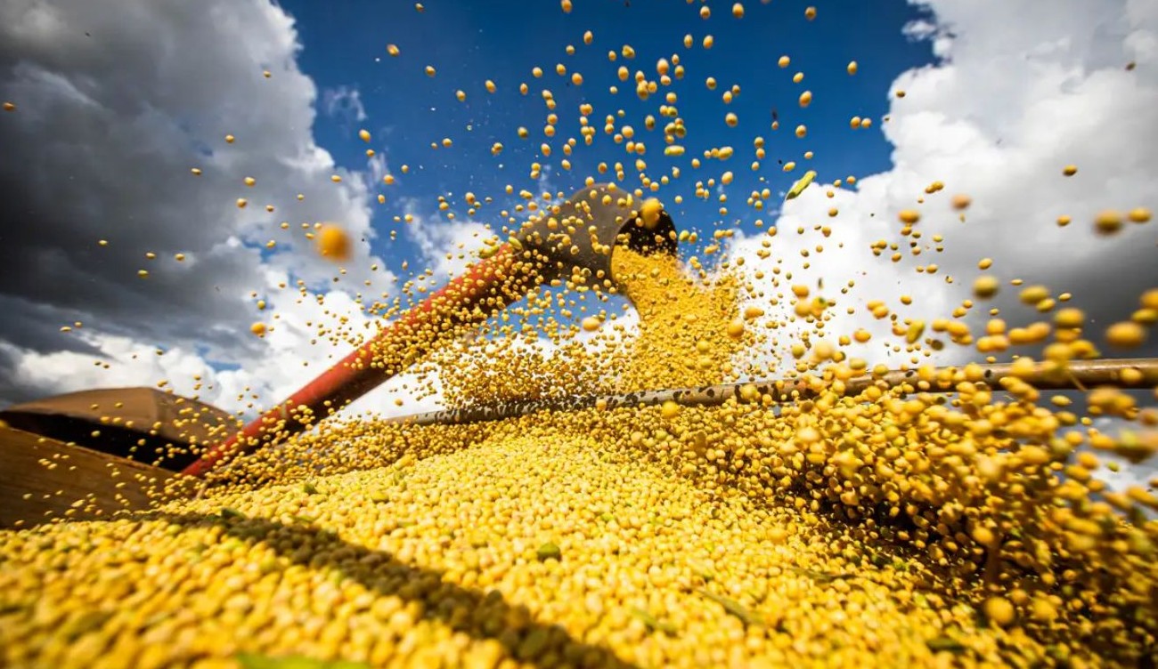 No momento, você está visualizando Produção agrícola brasileira superou R$ 927 bilhões em 2025