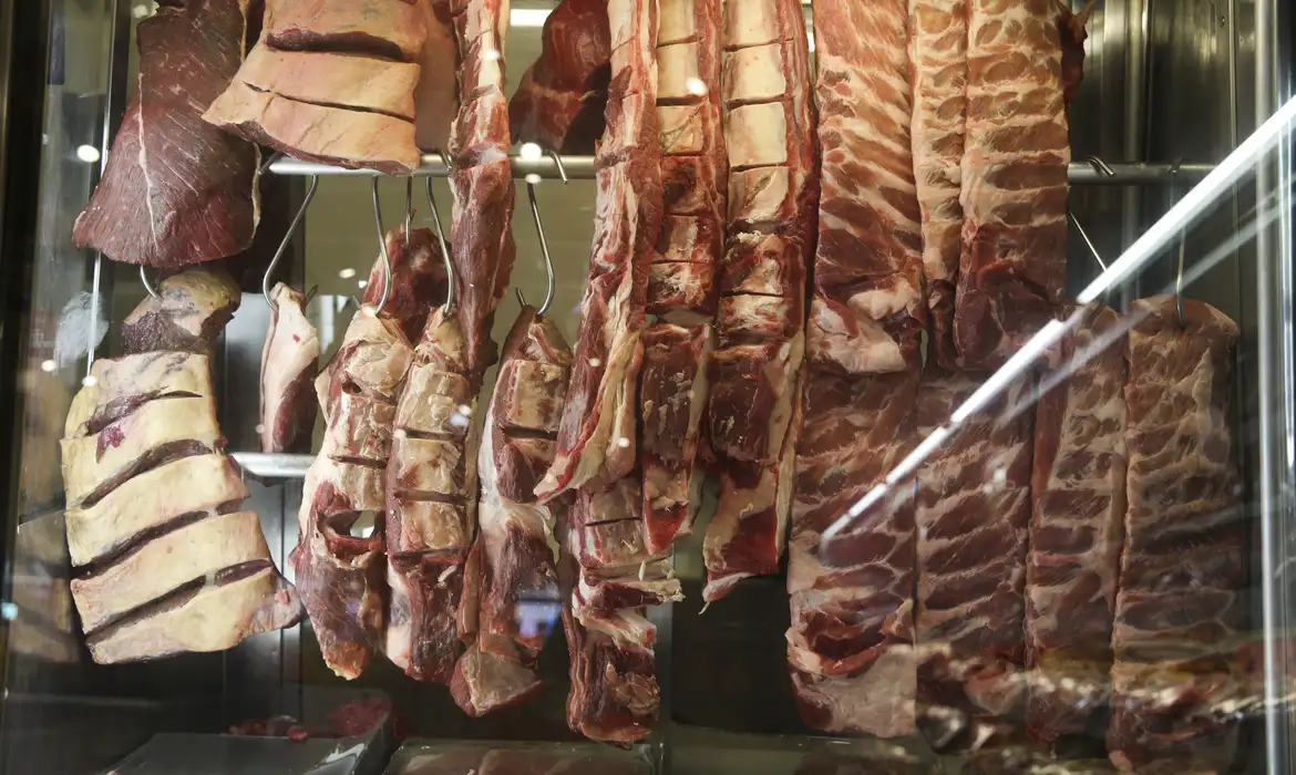 No momento, você está visualizando Produção de carne de peru no Brasil cresce após década de retração