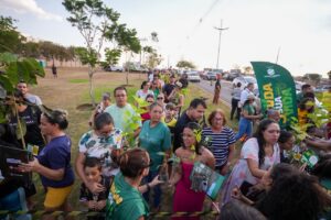 Leia mais sobre o artigo Rondonópolis doa seis mil mudas de árvores aos moradores
