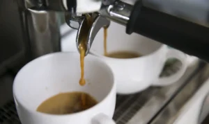 Leia mais sobre o artigo DIA INTERNACIONAL DO CAFÉ: Cadeia de valor mais equitativa em foco