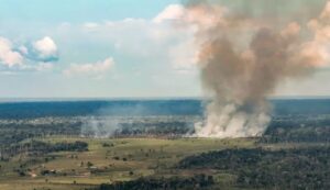 Leia mais sobre o artigo Governo libera R$ 68,6 milhões para combater incêndios e seca no Norte
