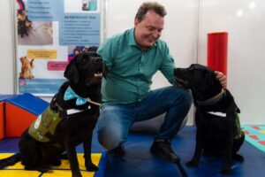 Leia mais sobre o artigo Max Russi propõe criação de censo para mapear população de cães e gatos em MT