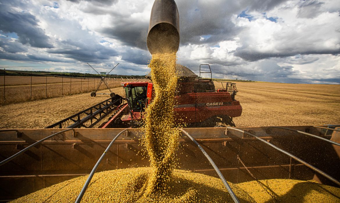 No momento, você está visualizando Plantio de soja no Brasil vai a quase 20% da área, em ritmo recorde