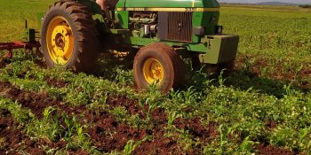 abramilho-celebra-avanco-exportacoes-sorgo
