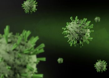 aeroportos-asiaticos-reforcam-seguranca-virus-nipah