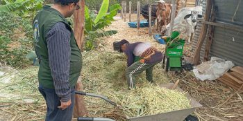 Agricultores familiares aprendem técnicas de produção de silagem