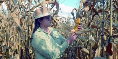 Agro de MT fecha junho com 447 mil postos de trabalho