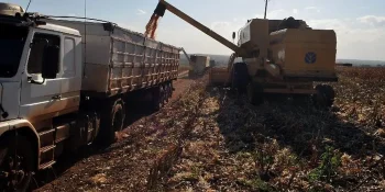 Agropecuária abre 12,5 mil vagas formais em julho