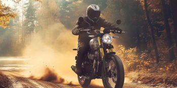 bear-650-chega-brasil