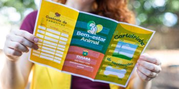 Bem-Estar Animal lança projeto VacinAção 2026 em Cuiabá