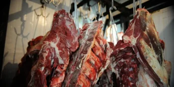 Brasil terá 42,5% da cota de carne bovina no acordo Mercosul–UE