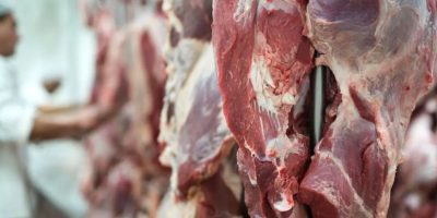 carne-bovina-produzida-mt-movimentou-exportacoes
