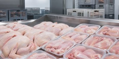 china-amplia-exportacoes-frango
