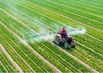 China Cria Plano para se Tornar Uma Potência Agrícola