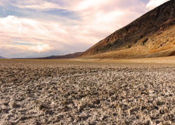 China transforma areia do deserto em solo fértil em 10 meses