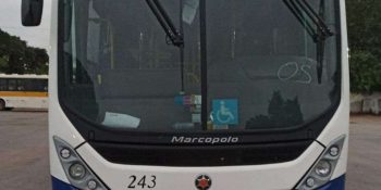 Cinco novos ônibus reforçam frota intermunicipal