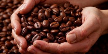 clima-ameaca-colheitas-cafe-arabica