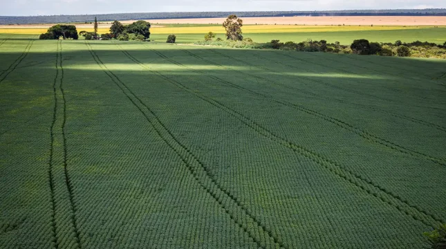 CMN amplia renegociação de dívidas rurais por eventos climáticos