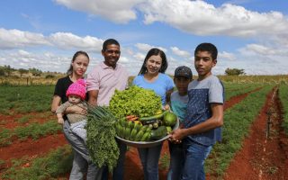 Conab e BNDES investirão R$ 80 milhões em agricultura familiar