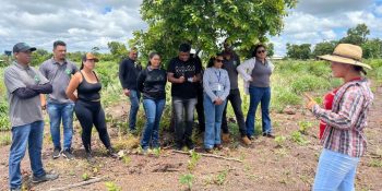 Cursos em agronegócio ampliam oportunidades em Mato Grosso