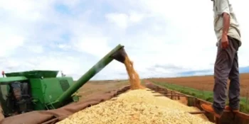 Demanda pela soja brasileira sustenta preços no mercado interno