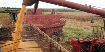 Diversificação do uso da soja impulsiona novos negócios no Brasil