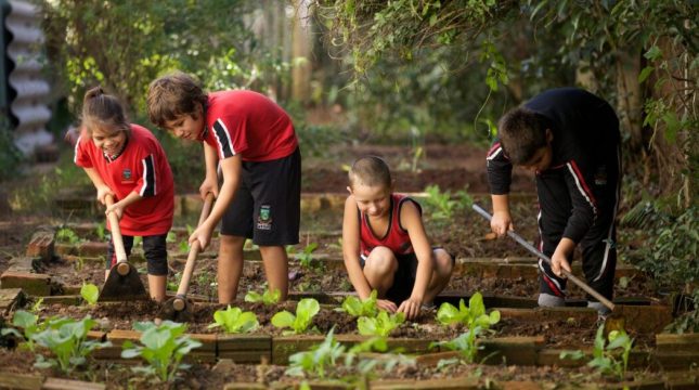 Educação alimentar passa a integrar currículo na rede de ensino